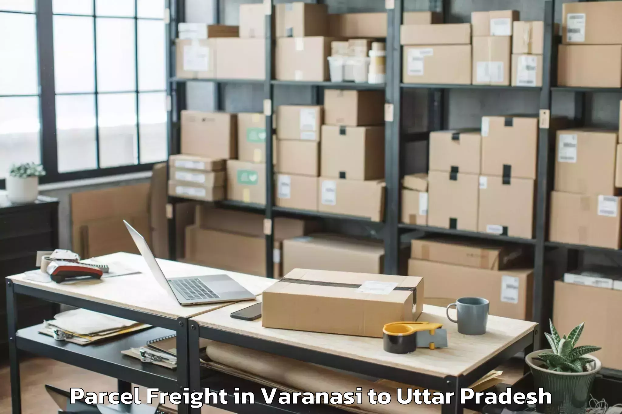 Quality Varanasi to Babrala Parcel Freight